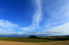 何も言えなくて・・・夏