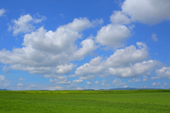 夏　北海道