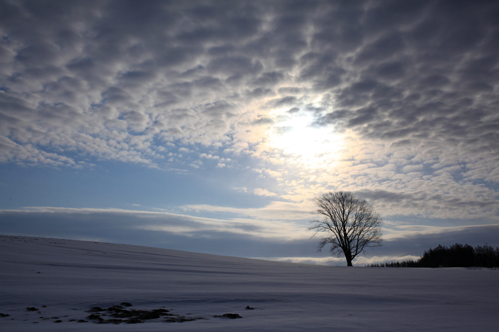 ＤＲＡＭＡＴＩＣ　ＭＯＲＮＩＮＧ