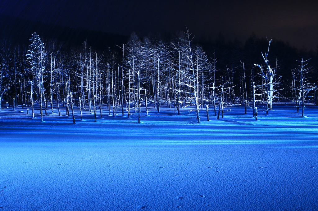 Ｉｃｅ　Ｂｌｕｅ