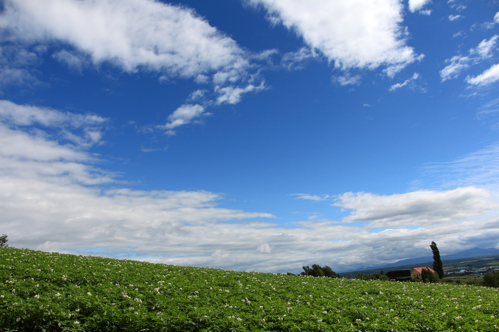 北海道の夏！！