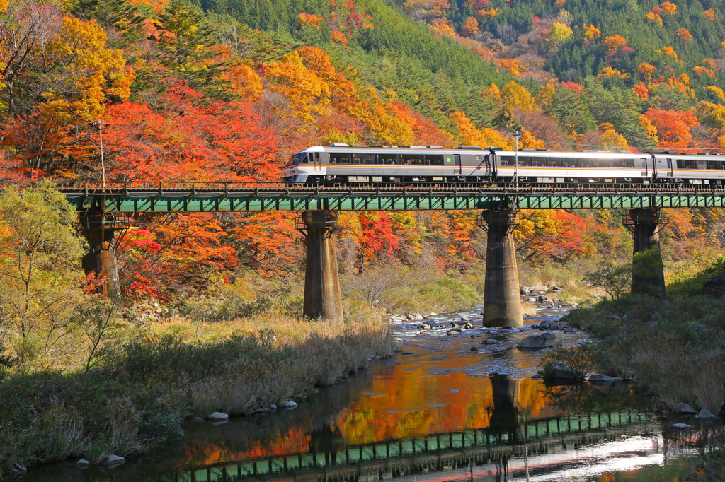 紅葉特急　高山本線