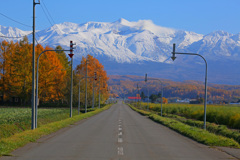 山が呼んでる