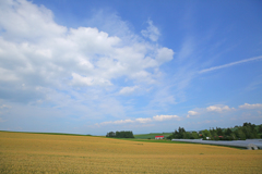 空よ