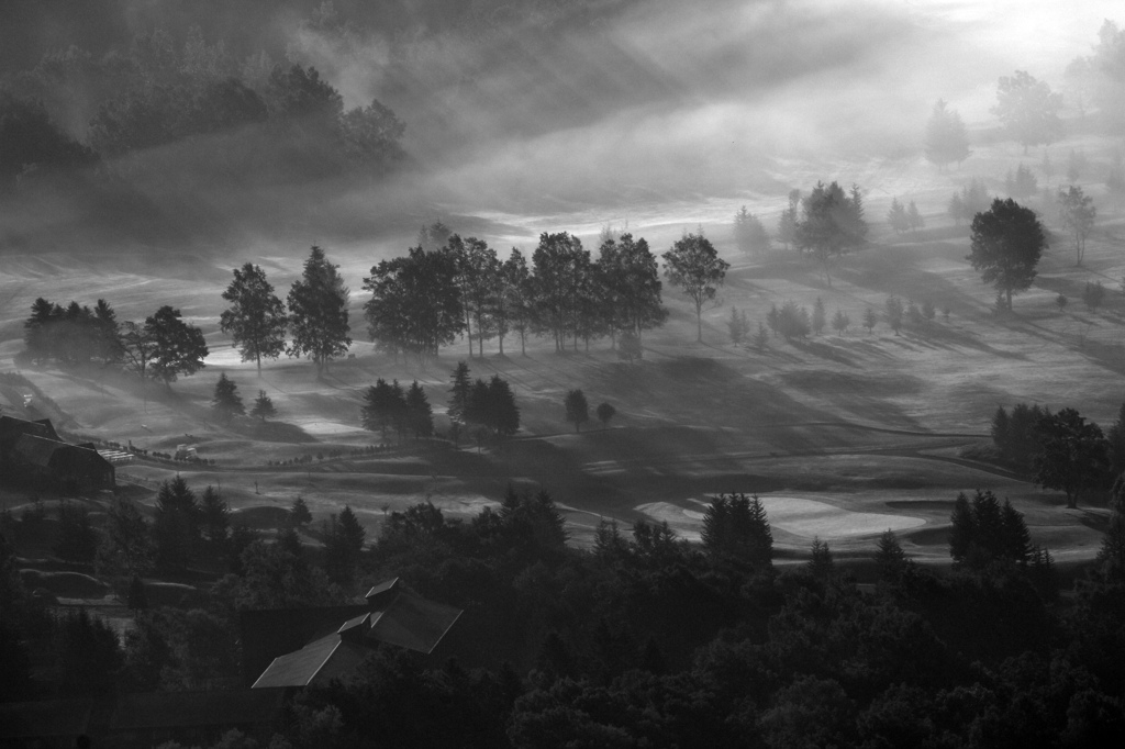 霧の中の影