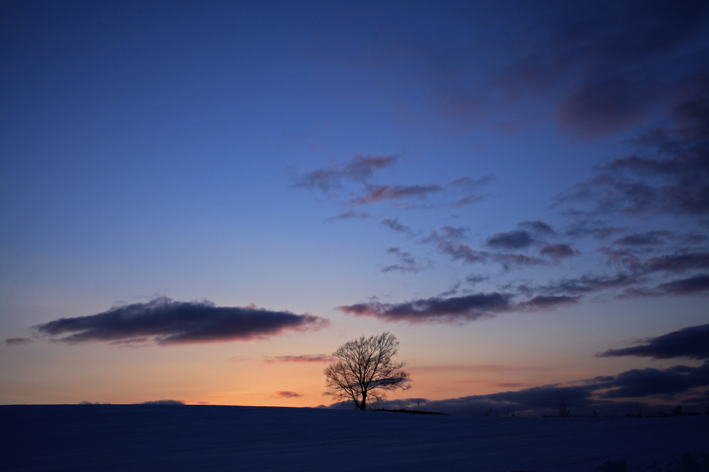 夕暮れ時