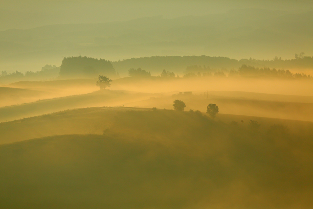 Misty　Morning