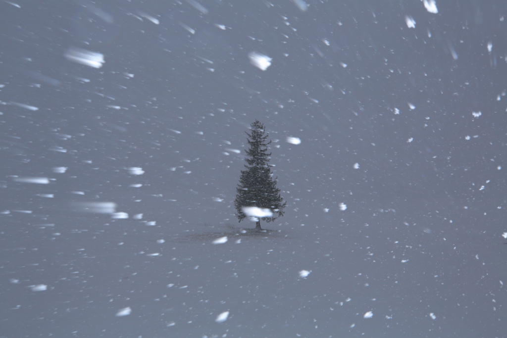 吹雪きの大晦日