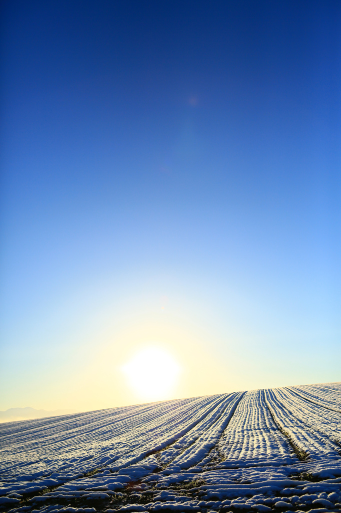 雪の朝