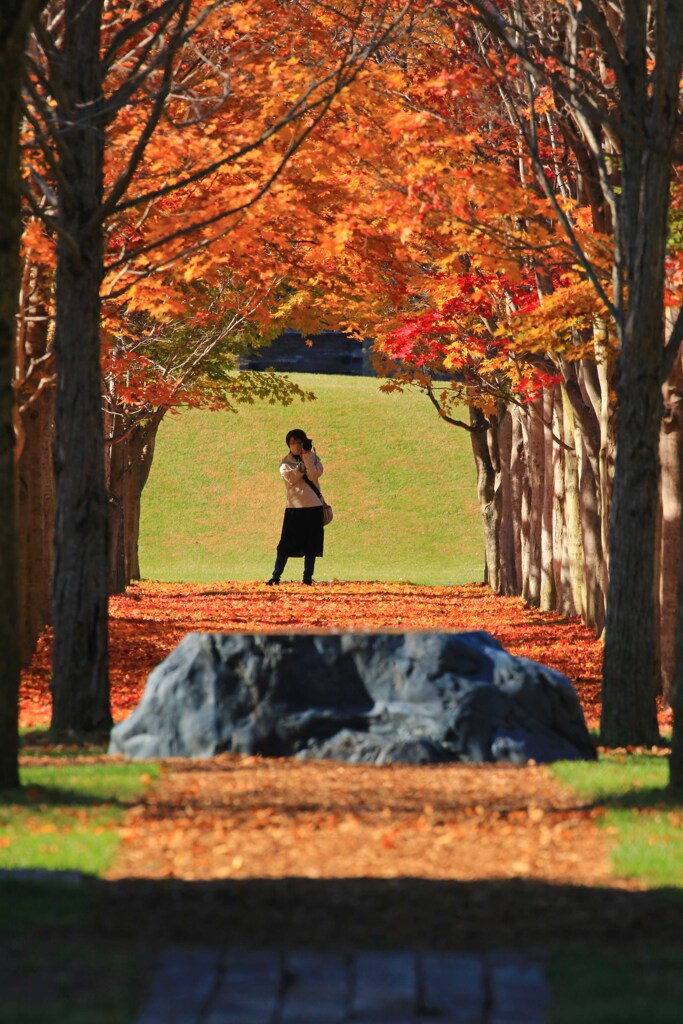 秋をひとりじめ