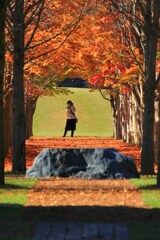 秋をひとりじめ