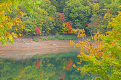 静かな湖畔の秋