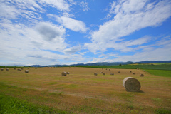 北海道　夏景