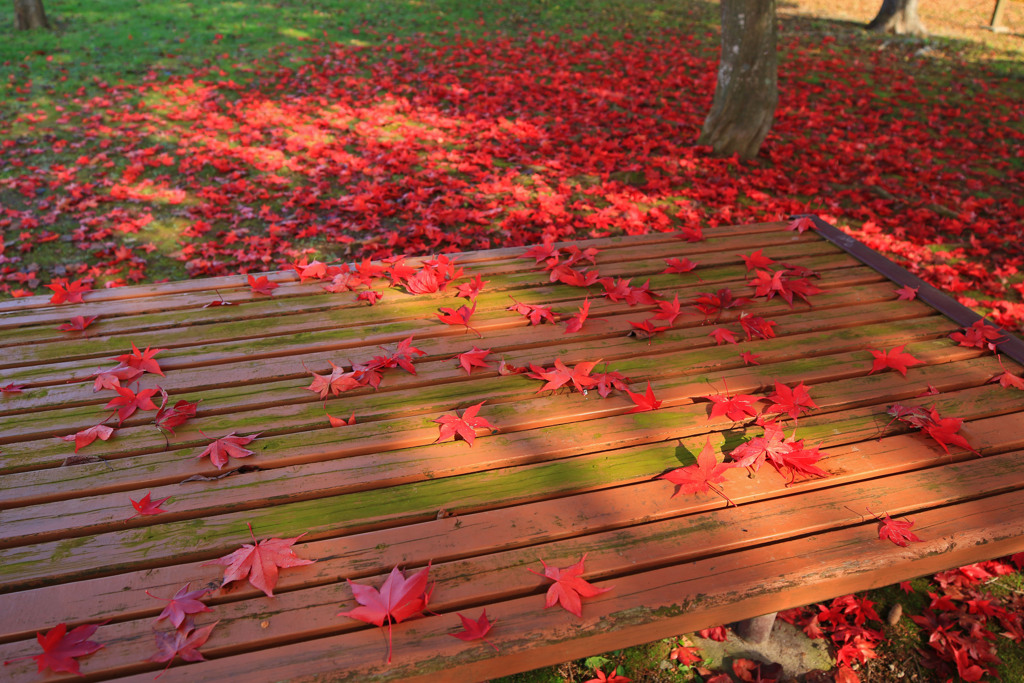 秋の食卓