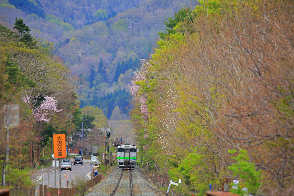 大沼公園