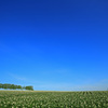 夏景色　北海道
