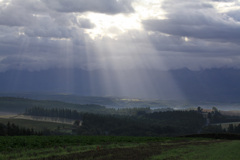 Autumn　Shower