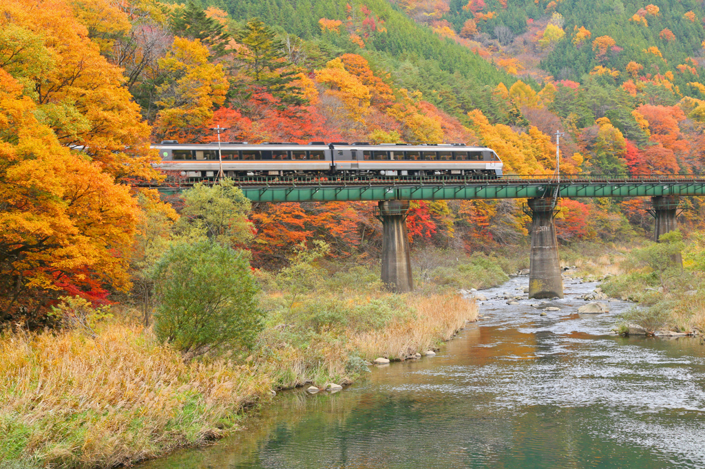 秋の車窓風景