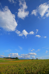 秋の空