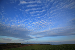 秋の空