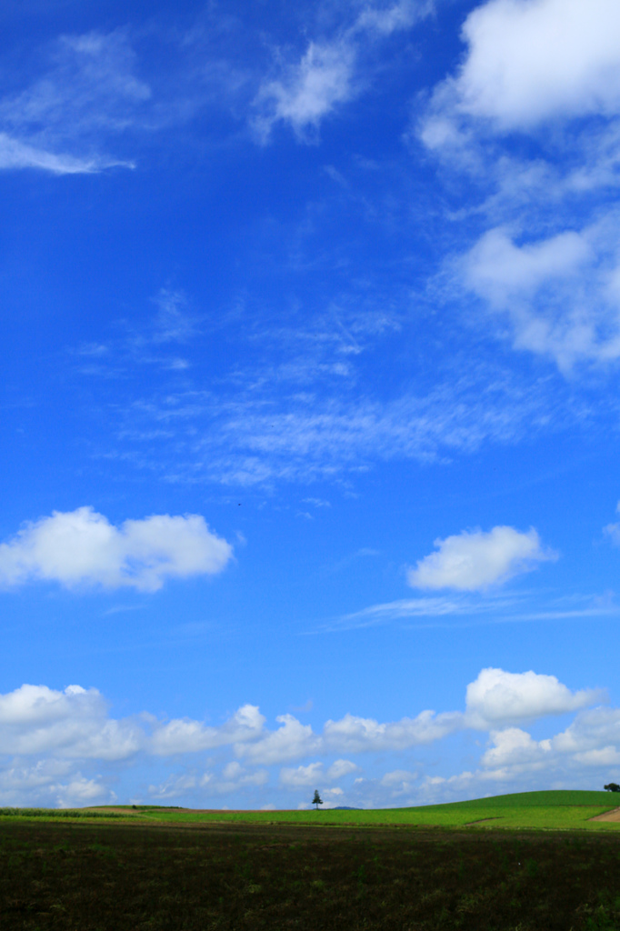 SUMMER　SKY