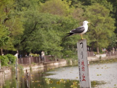 上野公園