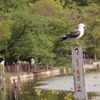 上野公園