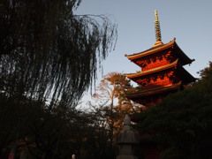 静