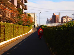 姿