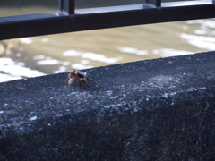 そそそ・・