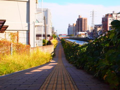 続