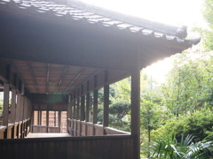 修