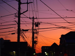 橙