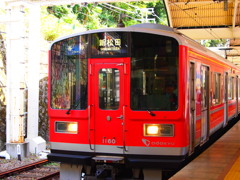 赤