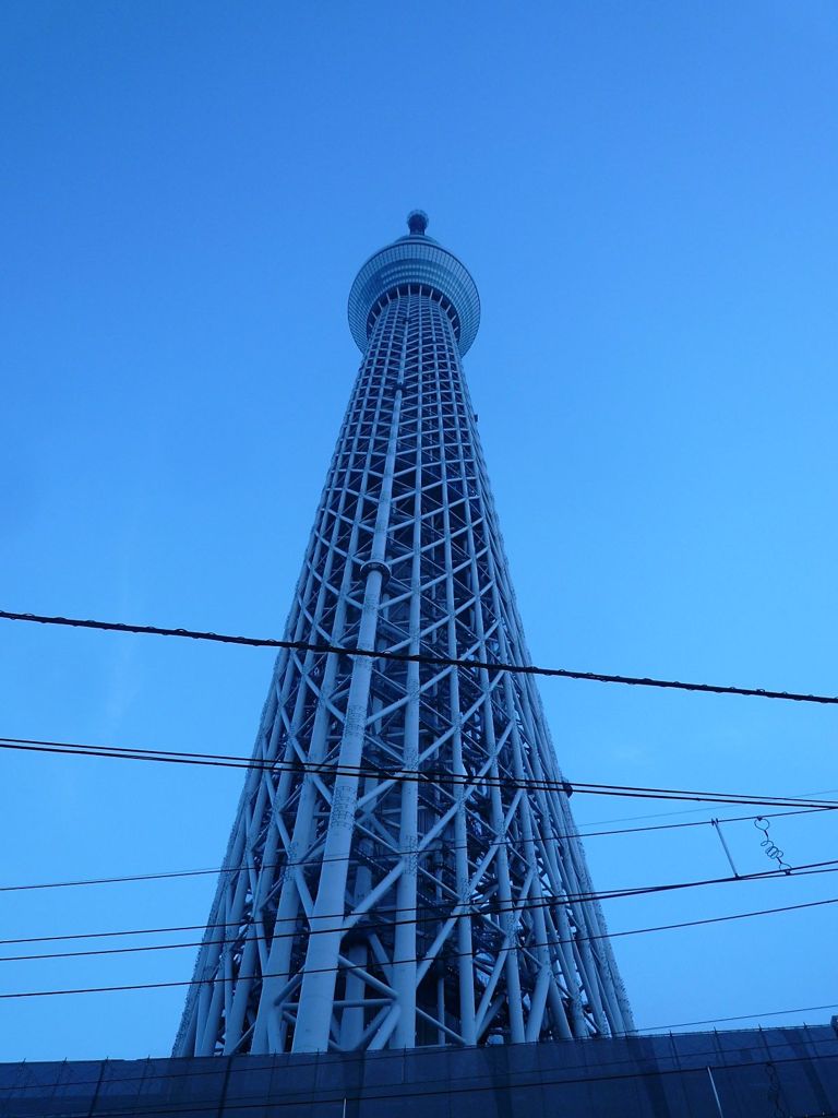 巨塔。