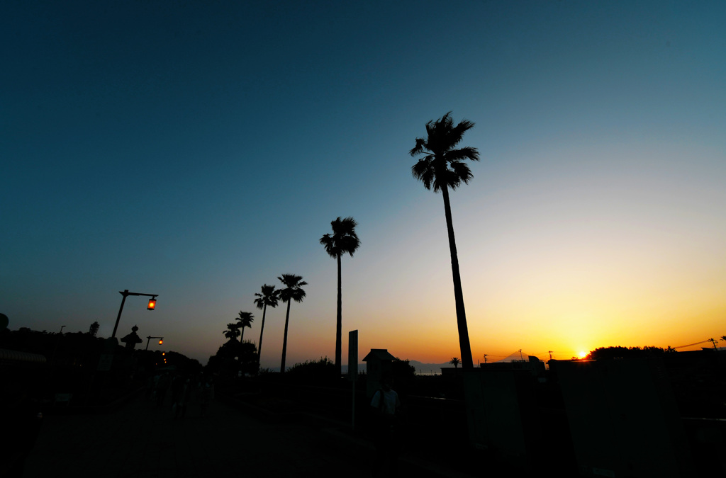 enoshima