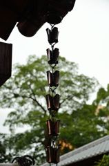 雨宿り