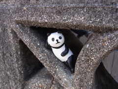 そこにも