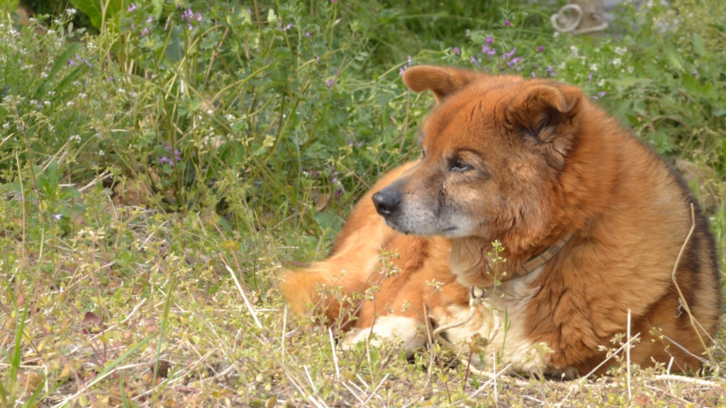 何見てるの～？