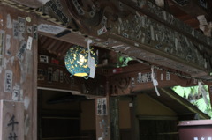 ひかり