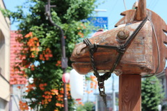夏の色を感じさせる