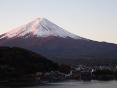 紅葉