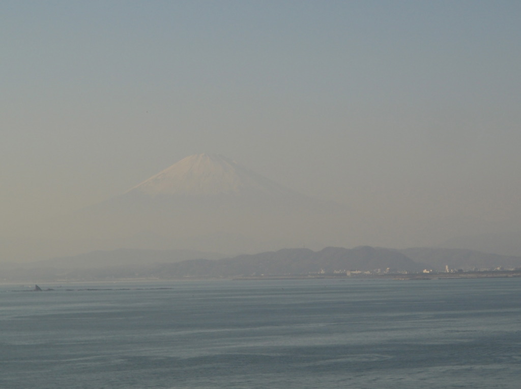 烏帽子岩と富士山