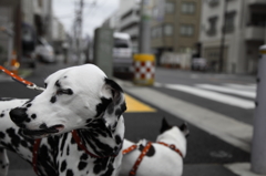 ちょっと寒くなってきたなぁ
