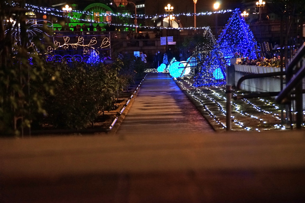 イルミネーション