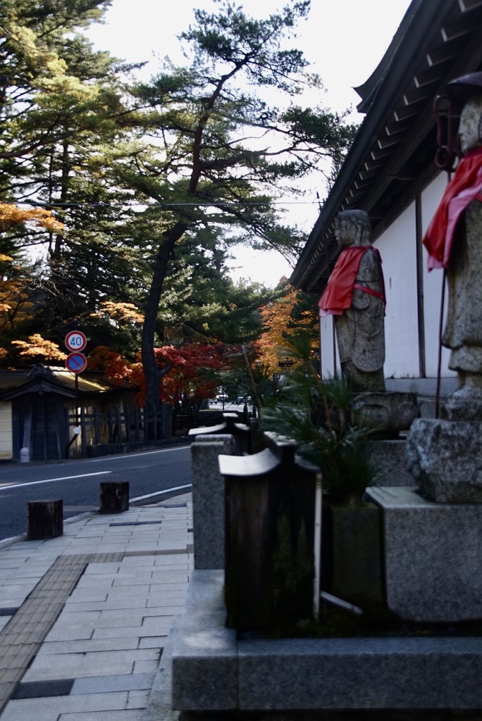 紅葉高野山