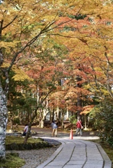 紅葉全開　高野山