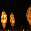 DSC00899