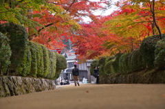高野山　紅葉2014