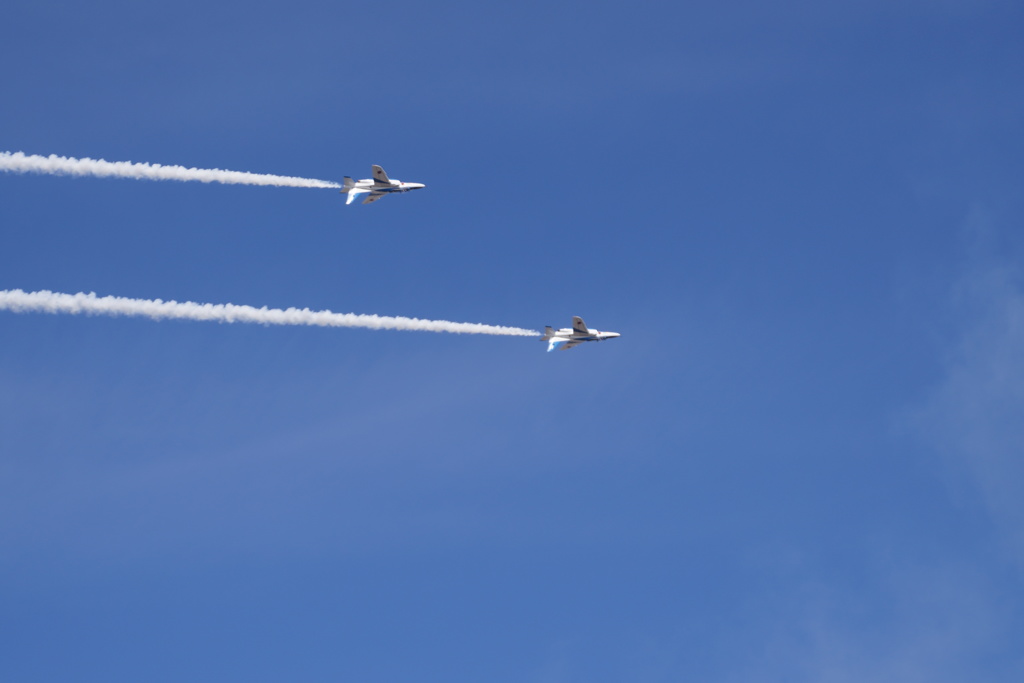 岐阜基地航空祭2018　ブルーインパス